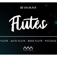 خرید اینترتی وی اس تی فلوت Audio Modelling SWAM Engine SWAM Flutes
