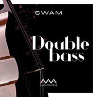 خرید اینترتی وی اس تی کنترباس Audio Modelling SWAM Engine SWAM Double Bass
