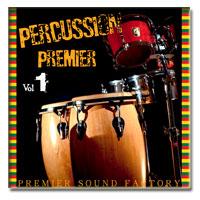 خرید اینترتی وی اس تی بانگو و کونگا Premier Sound Factory Percussion Premier Vol.1