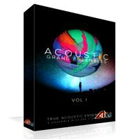 خرید اینترتی وی اس تی 8Dio Acoustic Grand Ensembles Vol. 1