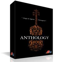 خرید اینترتی وی اس تی استرینگز 8Dio Anthology Strings