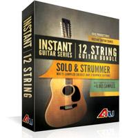 خرید اینترتی وی اس تی سولو و ریتم نوازی گیتار 12 سیمی 8Dio Instant 12-String Guitar