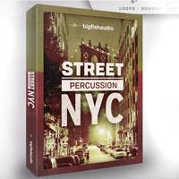 خرید اینترتی لوپ پرکاشن بریک بیت Big Fish Audio Street Percussion NYC