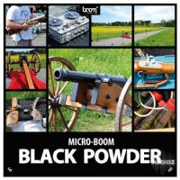 خرید اینترتی جلوه صوتی توپ Boom Library Black Powder