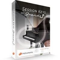 خرید اینترتی وی اس تی پیانو با تن صدای گرم E-instruments Session Keys Grand S