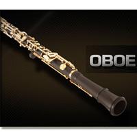 وی اس تی ابوا Vienna Symphonic Library Oboe