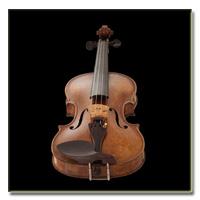 وی اس تی تک نوازی ویولن Vienna Symphonic Library Violin