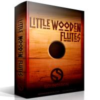 وی اس تی فلوت بومی هندی Soundiron Little Wooden Flutes
