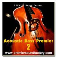 خرید اینترتی وی اس تی کنترل باس آکوستیک Premier Sound Factory Acoustic Bass Premier 2