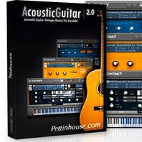 خرید اینترتی وی اس تی گیتار آکوستیک PettinHouse AcousticGuitar 2.0