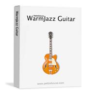 خرید اینترتی وی اس تی گیتار جز Pettinhouse WarmJazz Guitar