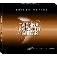 وی اس تی گیتار نایلون Vienna Concert Guitar Nylon
