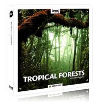 خرید اینترتی جلوه صوتی صداهای موجود در جنگلهای گرمسیری Boom Library Tropical Forests