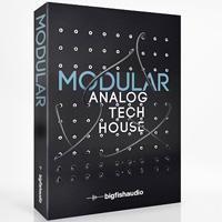 خرید اینترتی بیت و لوپ سبک تچ هاوس Big Fish Audio Modular Analog Tech House