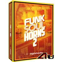 لوپ سازهای برنجی مخصوص سبک فانک Big Fish Audio Funk Soul Horns 2