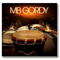 خرید اینترتی ریتم پرکاشن سینماتیک Big Fish Audio MB Gordy Percussion Pak