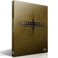 خرید اینترتی وی اس تی سولو هورن Native Instruments Symphony Series Brass Solo