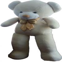 خرس تدی