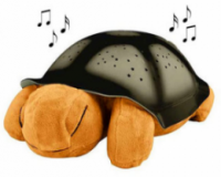 لاکپشت چراغ خواب شلمن shellman موزیکال